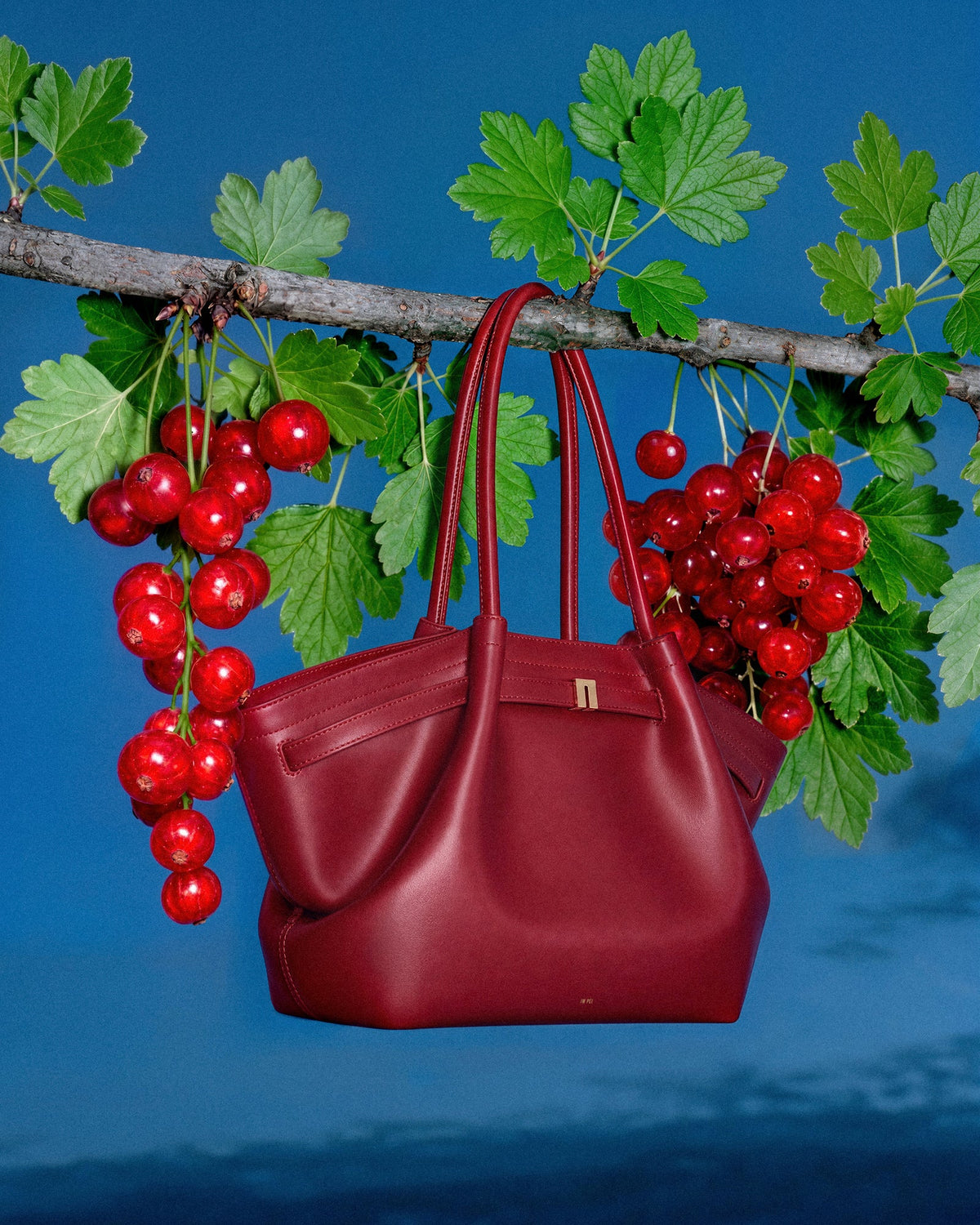 Red Obsession